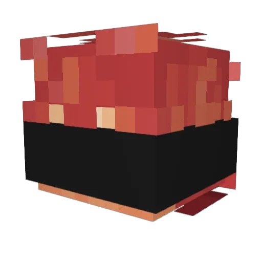kyotoxx Minecraft avatar head, 3D render