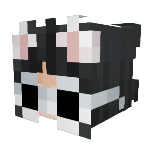 kyphion Minecraft avatar head, 3D render