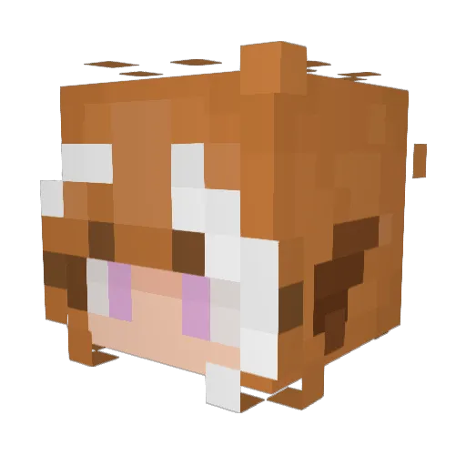kyrione Minecraft avatar head, 3D render