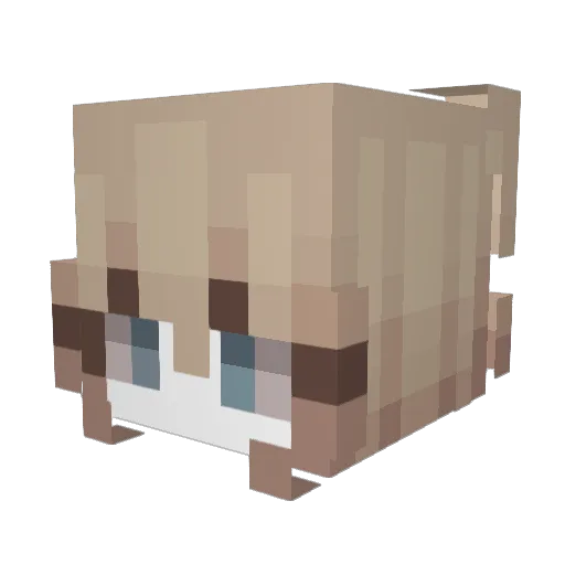 kyroll Minecraft avatar head, 3D render