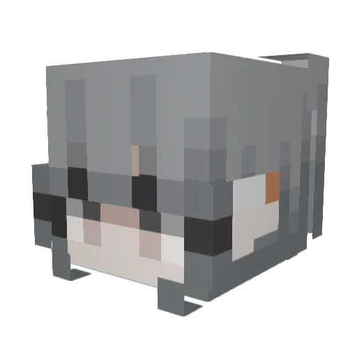kyrosgrave Minecraft avatar head, 3D render