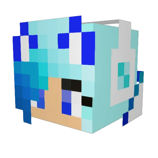 kytti555 Minecraft avatar head, 3D render