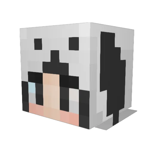 kyytyx Minecraft avatar head, 3D render