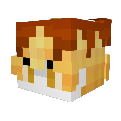 kyyzii Minecraft avatar head, 3D render