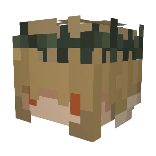 kzql Minecraft avatar head, 3D render