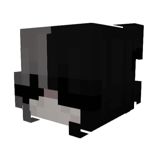 l0nelywhalez Minecraft avatar head, 3D render