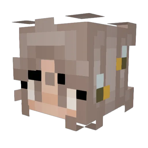 l0ser_Sara Minecraft avatar head, 3D render