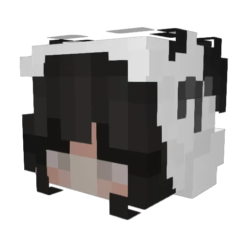 l0ser_Syd Minecraft avatar head, 3D render