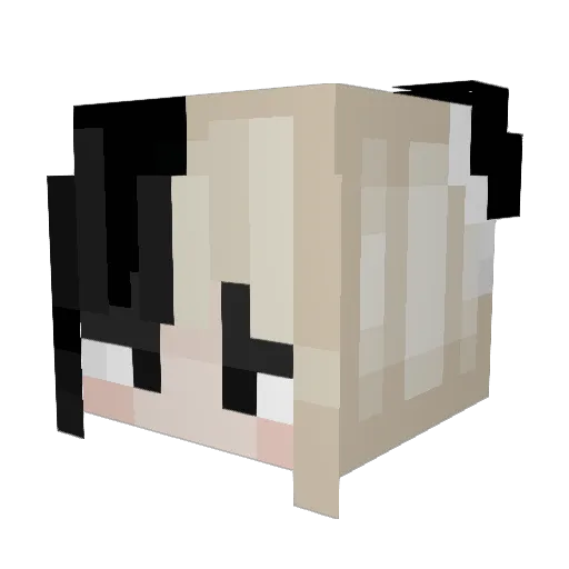 l0v3helena Minecraft avatar head, 3D render