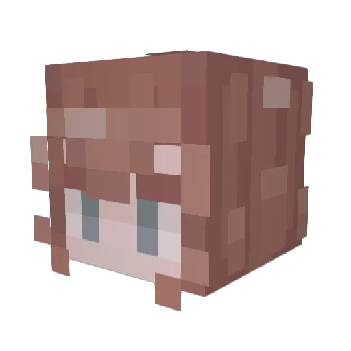 l0ws4 Minecraft avatar head, 3D render