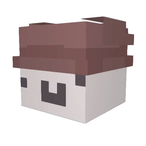 l1ghts_ Minecraft avatar head, 3D render
