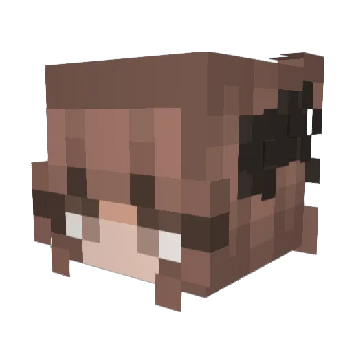 l1ly3lla Minecraft avatar head, 3D render