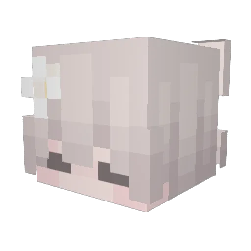 l1oft Minecraft avatar head, 3D render