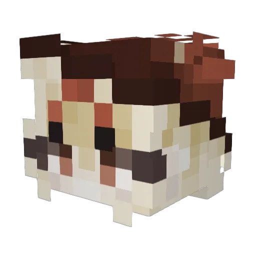 l1onmaster5480 Minecraft avatar head, 3D render