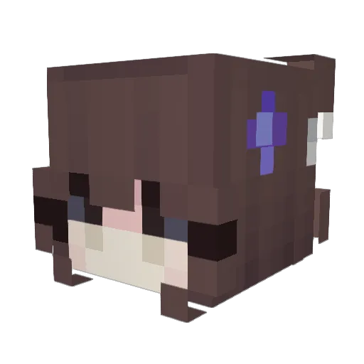 l1ttleSen Minecraft avatar head, 3D render