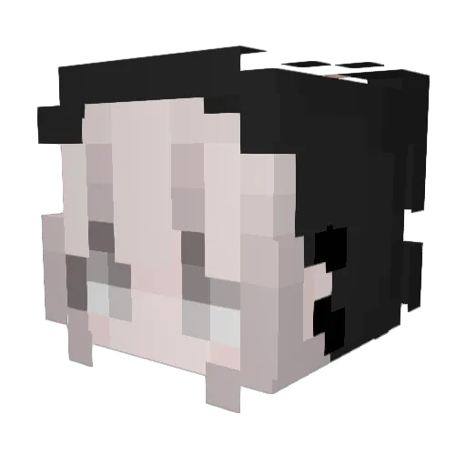 l3aby_Meat Minecraft avatar head, 3D render