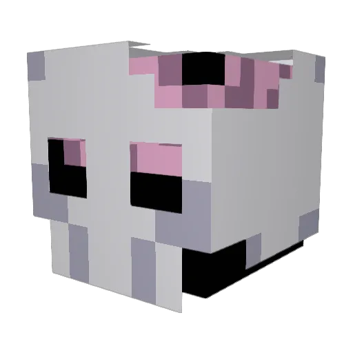 l3ap0ffaith Minecraft avatar head, 3D render