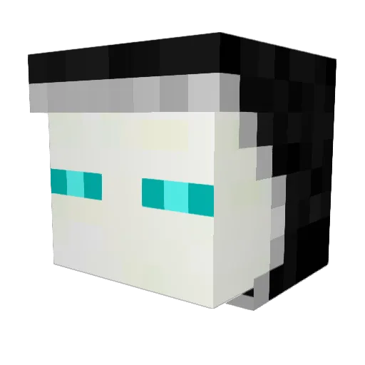 l3ing_man Minecraft avatar head, 3D render