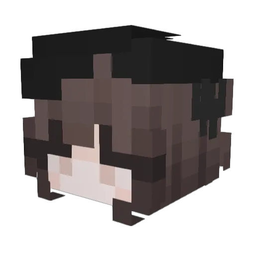 l3o1123 Minecraft avatar head, 3D render