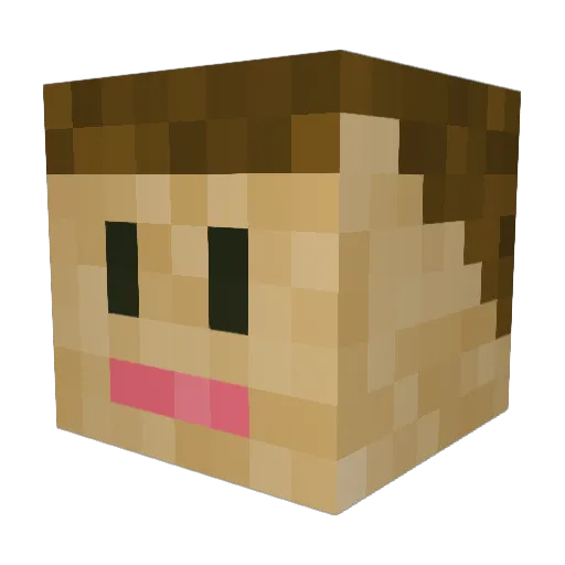 l3rendenN Minecraft avatar head, 3D render