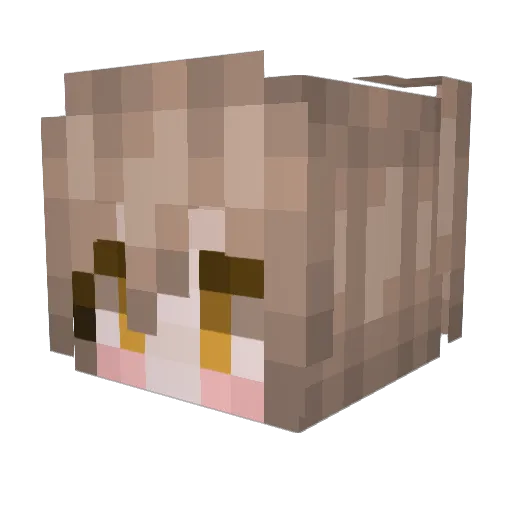 l4deadmaster123 Minecraft avatar head, 3D render