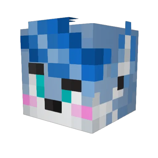 lDerekWizl Minecraft avatar head, 3D render