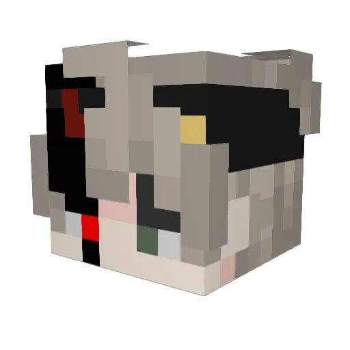 lFatalStokel Minecraft avatar head, 3D render
