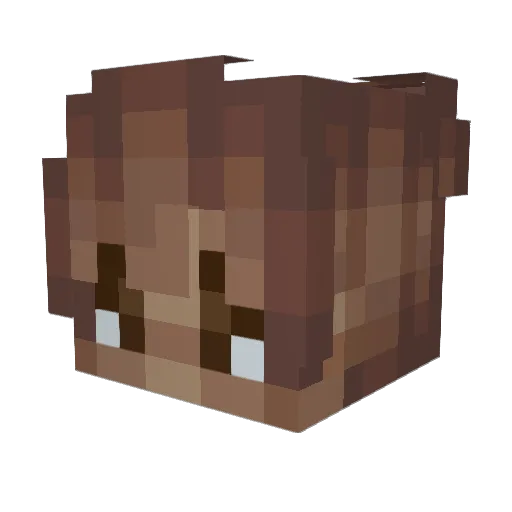 lFreDD Minecraft avatar head, 3D render