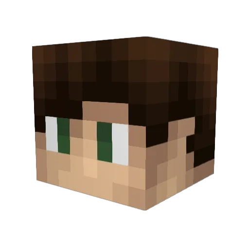 lFreezy Minecraft avatar head, 3D render