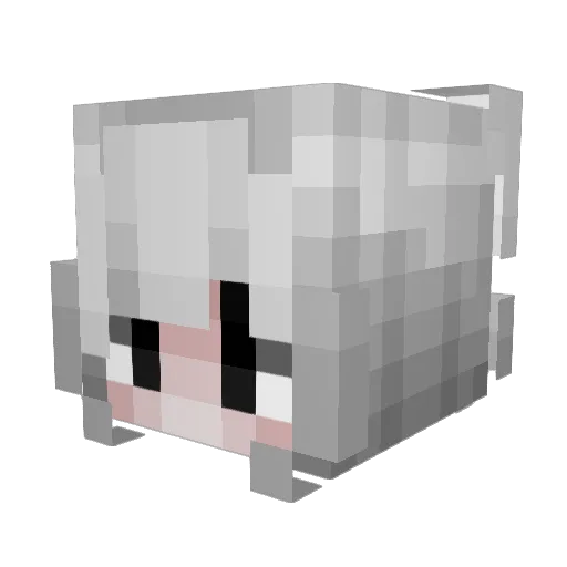 lIIlllIIIll Minecraft avatar head, 3D render