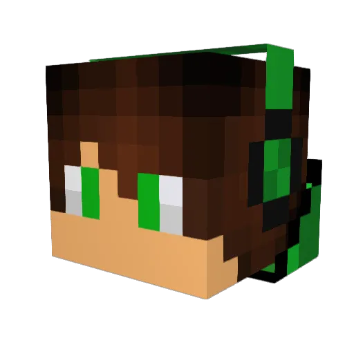 lIlBOI2 Minecraft avatar head, 3D render