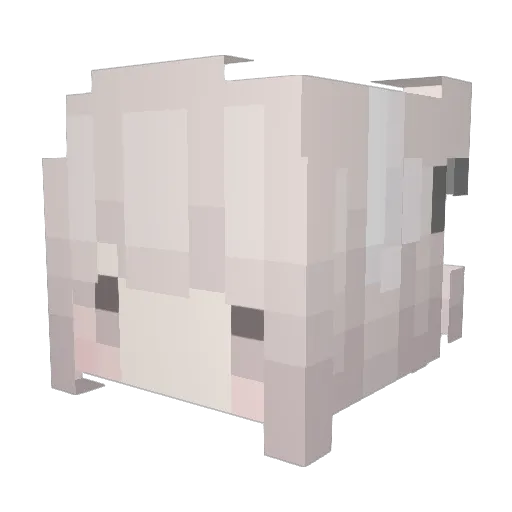 lIllIllIlIIIIlIl Minecraft avatar head, 3D render