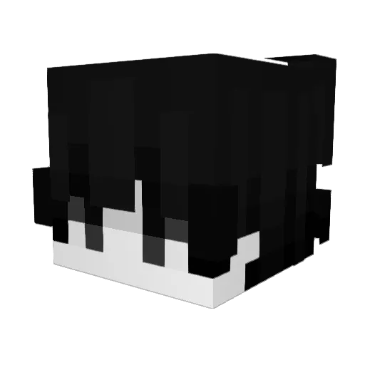 lLLETERATE Minecraft avatar head, 3D render