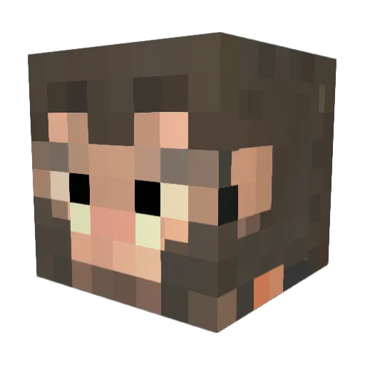 lLaucha Minecraft avatar head, 3D render