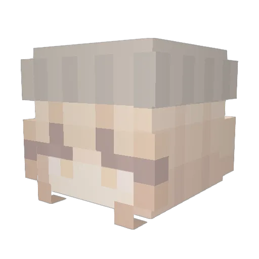lLexil Minecraft avatar head, 3D render