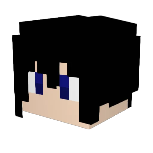 lLink_Br Minecraft avatar head, 3D render
