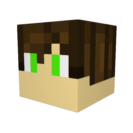 lMax101 Minecraft avatar head, 3D render
