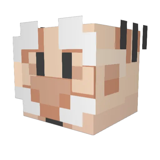 lMemel Minecraft avatar head, 3D render