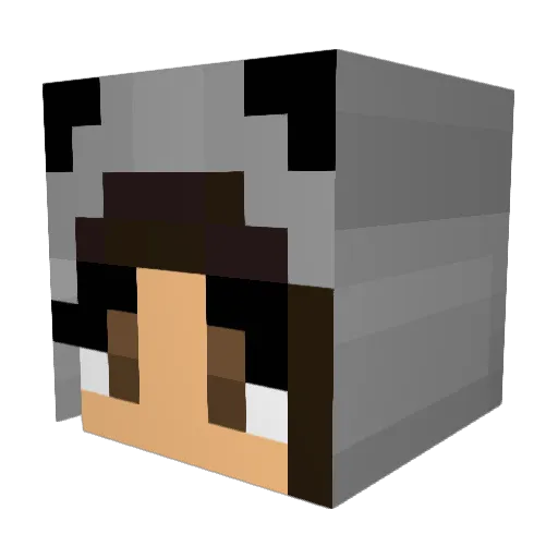 lPUFF Minecraft avatar head, 3D render