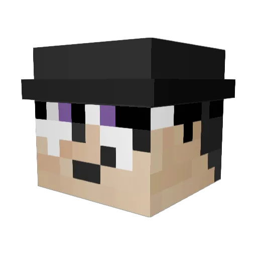 lPinkTurtle Minecraft avatar head, 3D render