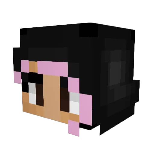 lPittal Minecraft avatar head, 3D render