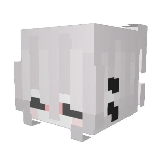 lRoshyn_ Minecraft avatar head, 3D render