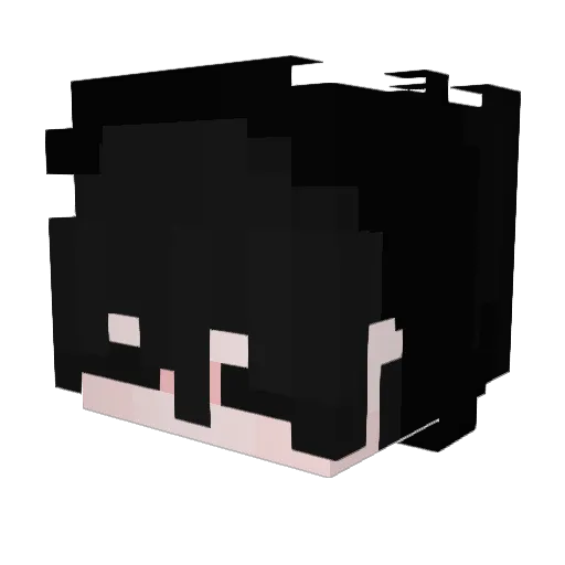 lSaileex Minecraft avatar head, 3D render