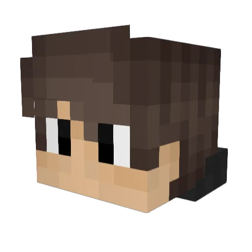 lSammyl Minecraft avatar head, 3D render