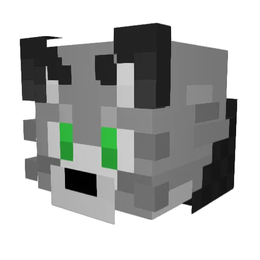 lSenkol4488 Minecraft avatar head, 3D render