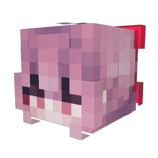 lSerenityl Minecraft avatar head, 3D render