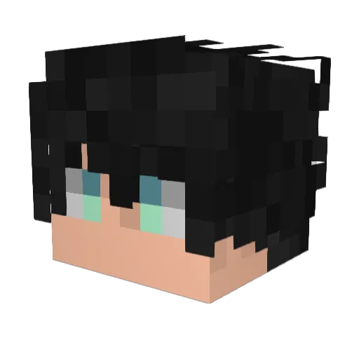lSocialHeadl Minecraft avatar head, 3D render