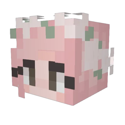 lSunnYl Minecraft avatar head, 3D render
