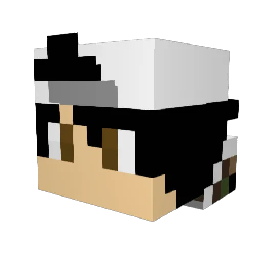 l_Fine_l Minecraft avatar head, 3D render