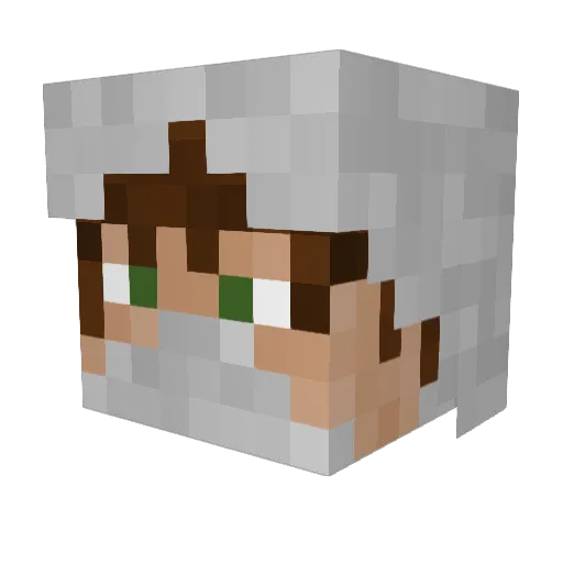 l_SirDuck_l Minecraft avatar head, 3D render